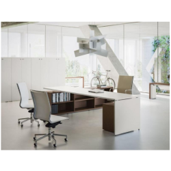 Escritorio de oficina ejecutivo con estantes