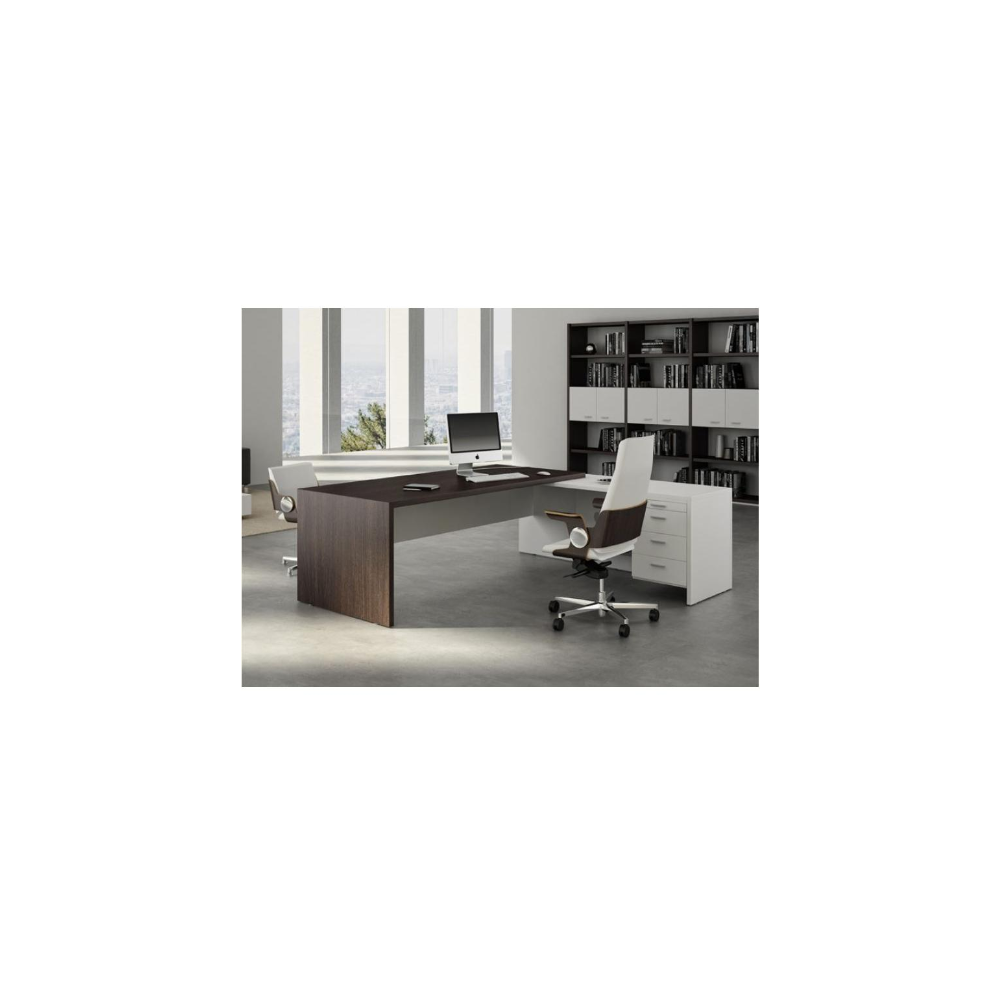 Escritorio de oficina con estantes