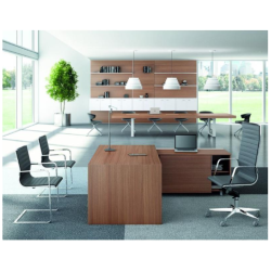 Escritorio de oficina con estantes