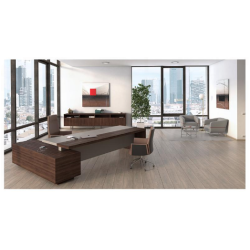 Escritorio de CEO brown ligth