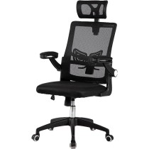 Urban Design Silla...