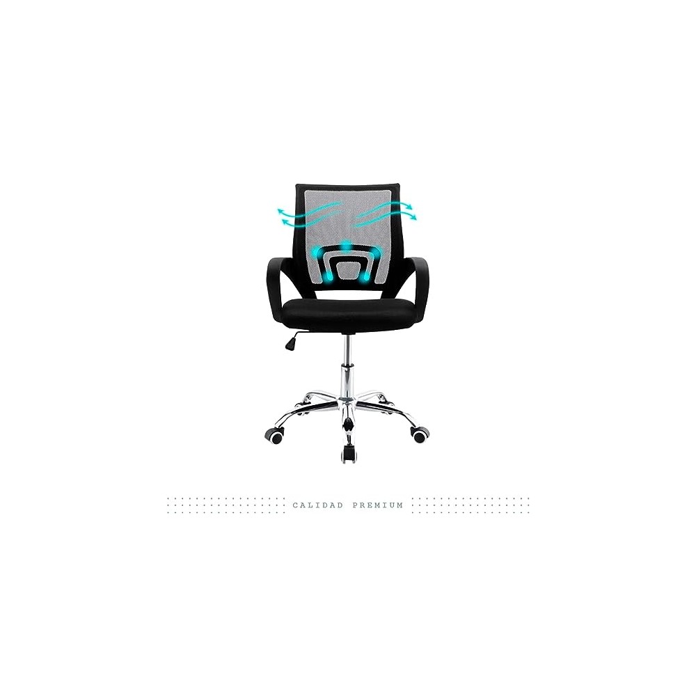LINIUM Silla Oficina Escritorio Ejecutiva Ergonómica Premium Respaldo de Malla Ayuda Lumbar