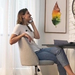 Silla de computadora de Oficina en casa, Moderna Silla Ajustable con Respaldo bajo (Plateado)