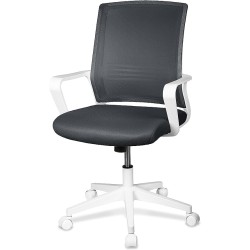 MAGMALIFE Moderna y Elegante, Silla Giratoria con Soporte Lumbar y Cómodos Descansabrazos (Gris Plata)