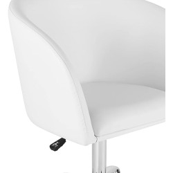 Gran Shopping, Silla Hidráulica para Estética, Asiento Giratorio y Ajuste de Altura