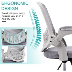 STAFFPENGUIN Silla de Oficina, Silla ergonómica para computadora con Soporte Lumbar Ajustable en Altura, Gris