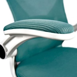 siafu Silla ejecutiva Moderna ergonómica con Respaldo reclinable y reposabrazos acolchonado abatible (Azul)