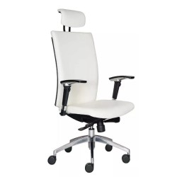 Silla Sillon Ejecutiva Oficina Escritorio Piel Genuina Drivr