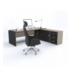 Conjunto Ejecutivo Luter