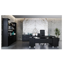 Conjunto Ejecutivo Ford Master